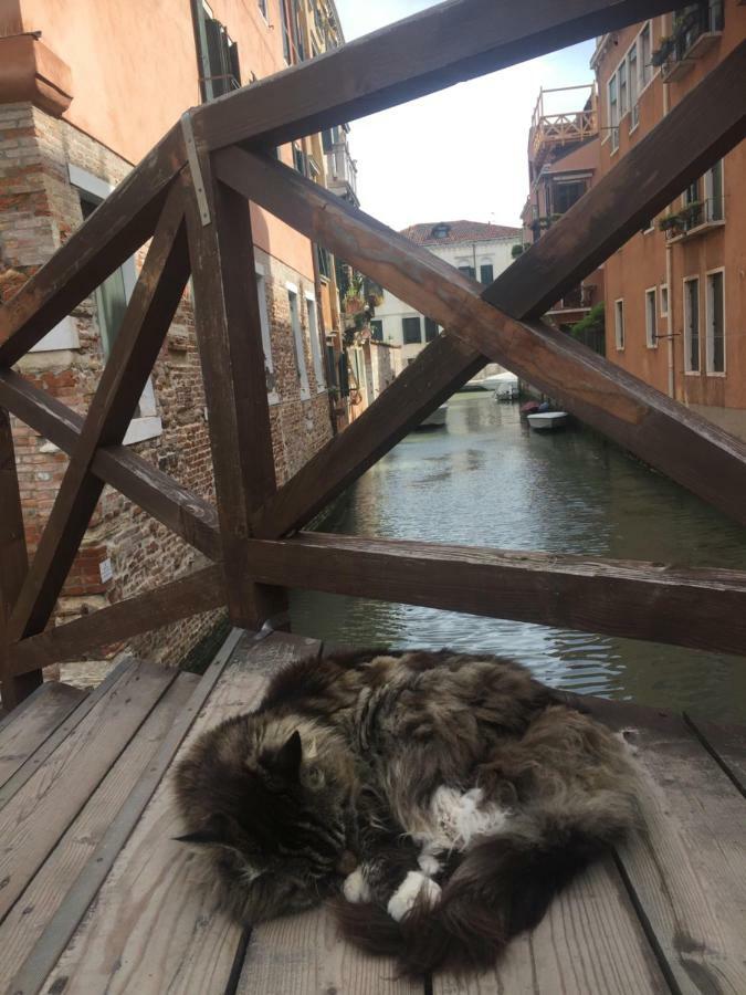 Tintoretto 1 Con Terrazza Sopra Il Tetto, 3 Bagni, 3 Grandi Camere Da Letto, Super Nuovo Venecia Exterior foto